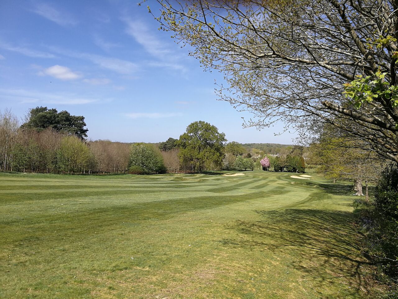 Course News - 2020 :: Ifield Golf Club